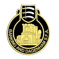 Barking & Dagenham Schools' Football Association (Primary)